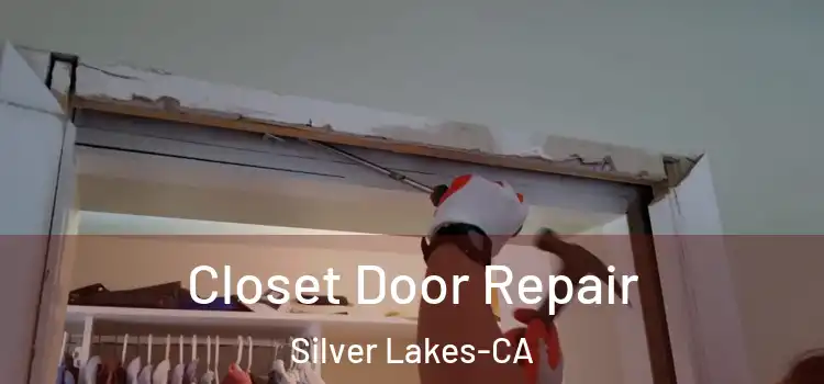  Closet Door Repair Silver Lakes-CA