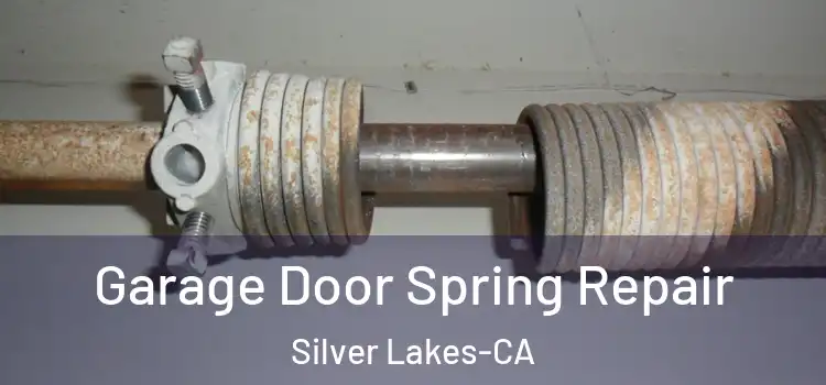  Garage Door Spring Repair Silver Lakes-CA