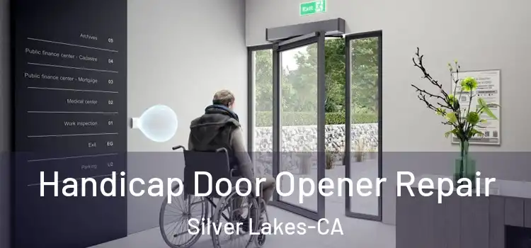  Handicap Door Opener Repair Silver Lakes-CA