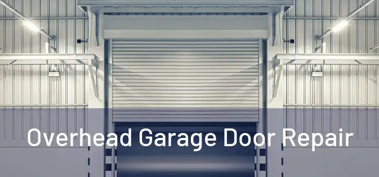  Overhead Garage Door Repair 